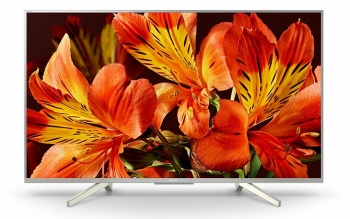4К профессиональный информационный дисплей Sony FW-49BZ35F